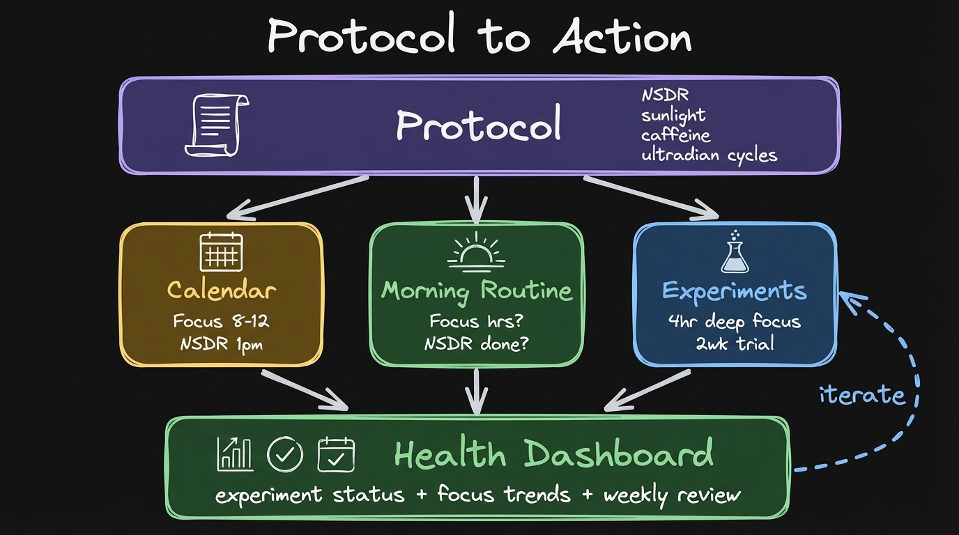 Protocol becomes calendar events, experiments in your morning routine, and a health dashboard to track it all.